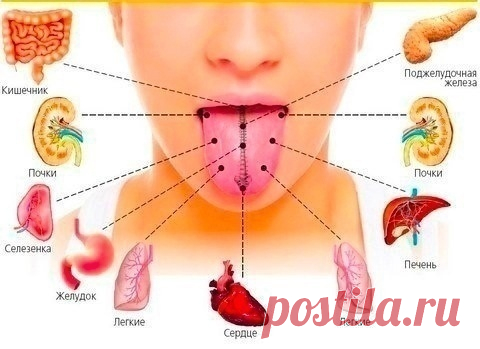 ОПРЕДЕЛЯЕМ СОСТОЯНИЕ ОРГАНИЗМА ПО ЯЗЫКУ