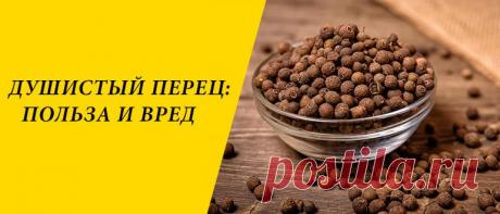 Душистый перец: польза и вред для здоровья организма Душистый перец: описание и состав, применение в народной медицине, косметологии и кулинарии, польза и вред, рецепты блюд.