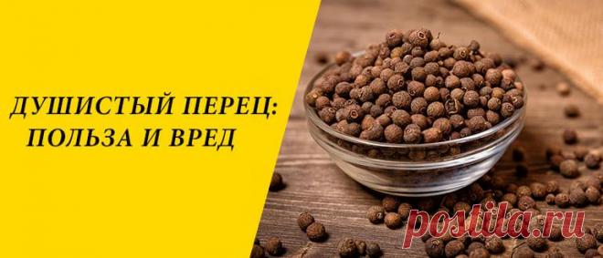 Душистый перец: польза и вред для здоровья организма Душистый перец: описание и состав, применение в народной медицине, косметологии и кулинарии, польза и вред, рецепты блюд.