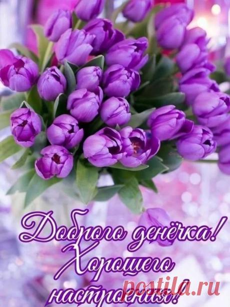 😃 150 Пожеланий Хорошего Настроения в красивых картинках открытках