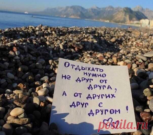 Шредингер Шутит