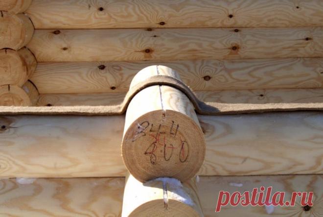 Чем утеплить в бане потолок, стены и пол: лучшие материалы и технологии