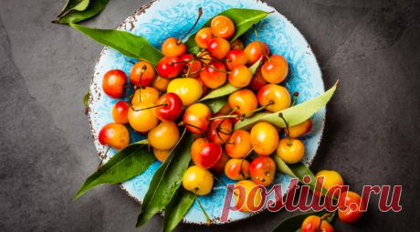 Идеальный закусон из жёлтой черешни — Фактор Вкуса