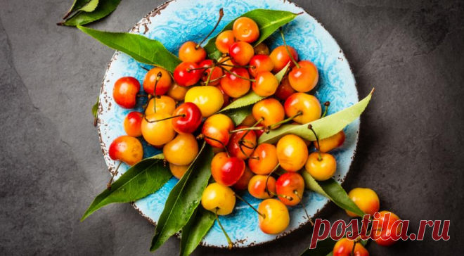 Идеальный закусон из жёлтой черешни — Фактор Вкуса