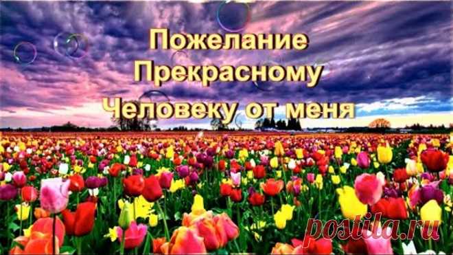 Пожелание Прекрасному Человеку от меня!!!. Красивая музыкальная открытка с пожеланием!!!💌🍓🍓🍓