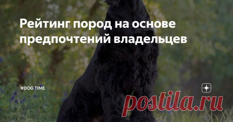 Рейтинг пород на основе предпочтений владельцев Что говорят о своих собаках владельцы разных пород? Приветствую, уважаемые читатели! Не так давно я выпустила статью о породах, которые по моему личному мнению и опыту наиболее подходят для семьи и жизни в социуме. Это был довольно небольшой список из пяти пород. Потому как основан только на работе с теми породами, которых было достаточно много в моей практике, чтобы сделать определенные выводы. Я хорошо понимала, что список ...