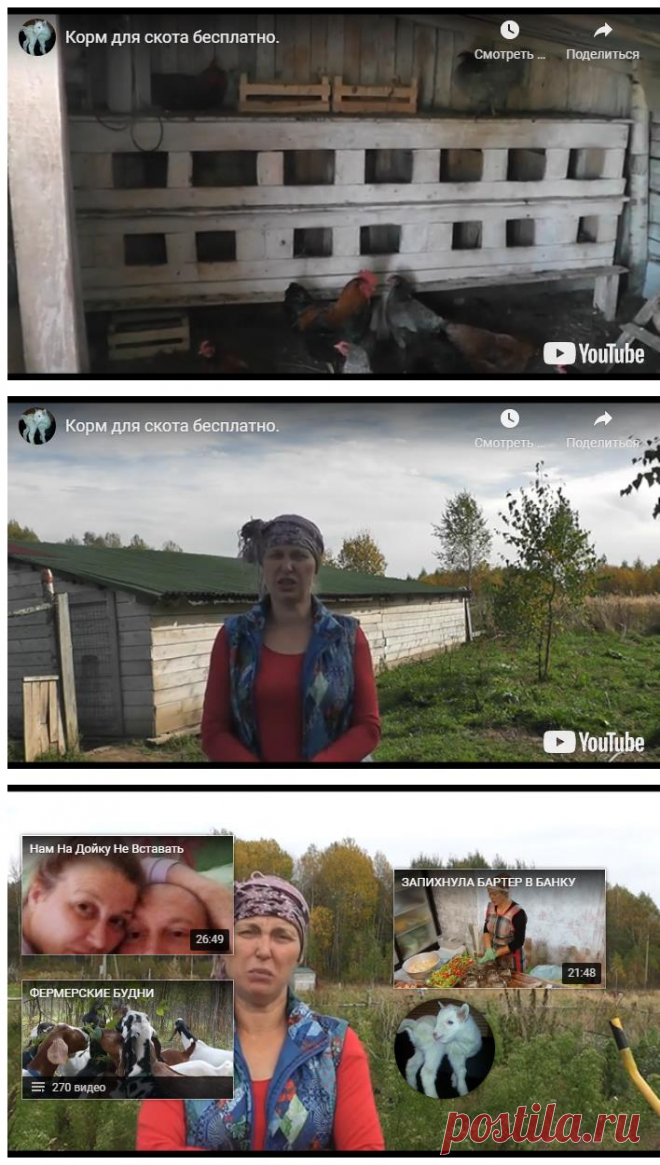 Корм для скота бесплатно. &#8212; Усадьба Белая Коза