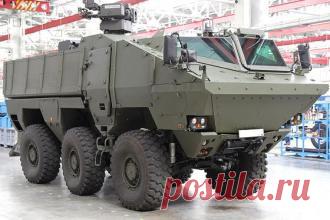 КАМАЗовские бронемашины «Тайфун» пройдут войсковые испытания до конца года - свежие новости Украины и мира