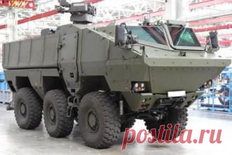 КАМАЗовские бронемашины «Тайфун» пройдут войсковые испытания до конца года - свежие новости Украины и мира
