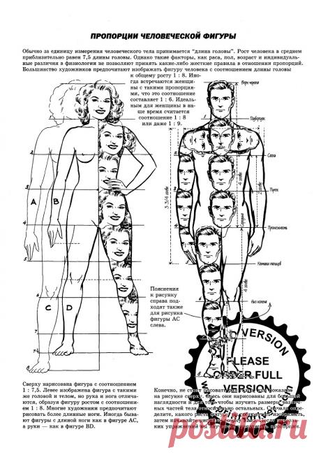 Исцеление легких и желудочно-кишечного тракта. При многих инфекционных и воспалительных заболеваниях внутренних органов каждый человек индивидуален, поэтому