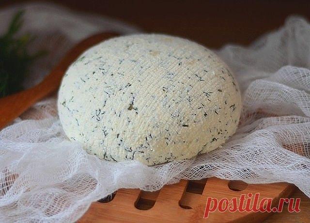 Она сделала так: взяла 1 банку молока, добавила 100 мл уксуса и получила вкусный домашний сыр! 

Вот буквально неделю назад попробовала этот домашний сыр из молока в гостях у соседки. Мой первый вопрос был: «Где она его купила?». 

Ответ удивил меня, оказывается она сама его приготовила, да еще и так просто.