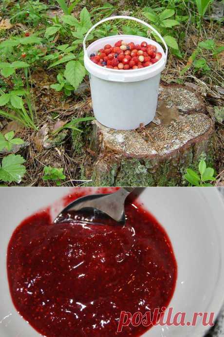 Земляничка на зиму.