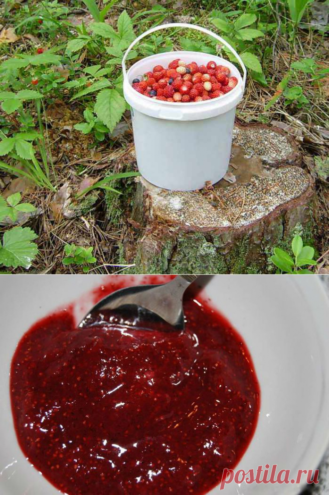 Земляничка на зиму.