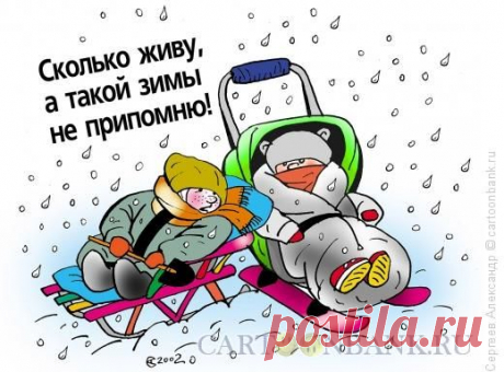 АНЕКДОТЫ В ПЯТНИЦУ. ЗИМОЙ БЫВАЕТ ТАКОЕ!..)))) Чукотка. Занятия в детском саду. Воспитательница задает детям загадку: - Зимой и летом одним цветом. Один малыш встает и говорит гоpдо: - Снег!    Хотелось бы чего-то необычного этой зимой. Снега, нап…