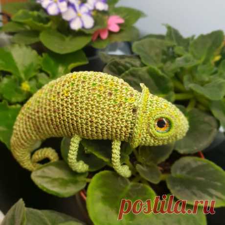PDF Хамелеон. FREE amigurumi crochet pattern. Бесплатный мастер-класс, схема для вязания амигуруми крючком. Игрушки своими руками! Ящерица, chameleon, camaleón, camaleão, caméléon, chamäleon, kameleon, lizard, lagarto, lézard, eidechse, トカゲ . #амигуруми #amigurumi #amigurumidoll #amigurumipattern #freepattern #freecrochetpatterns #crochetpattern #crochetdoll #crochettutorial #patternsforcrochet #вязание #вязаниекрючком #handmadedoll #рукоделие #ручнаяработа #pattern #tutorial #häkeln #amigurumis