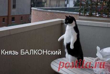 )))