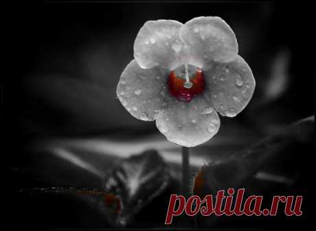 (99+) Tumblr
