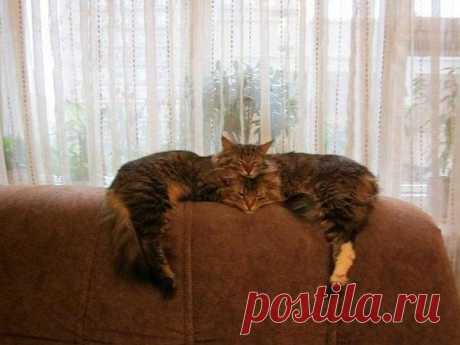 Мой Мир@Mail.Ru