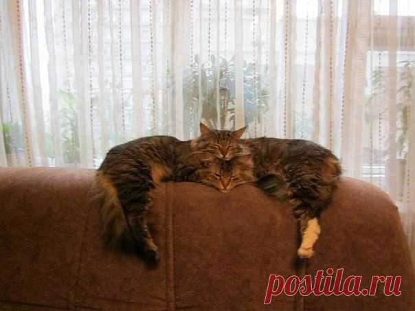 Мой Мир@Mail.Ru
