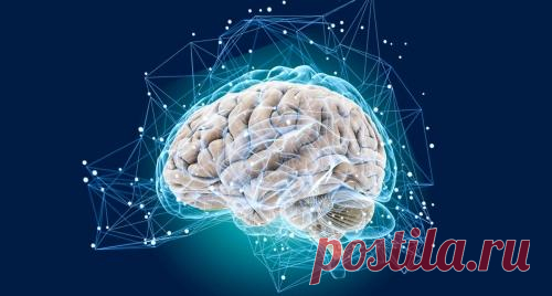Как время суток и продукты влияют на работу мозга