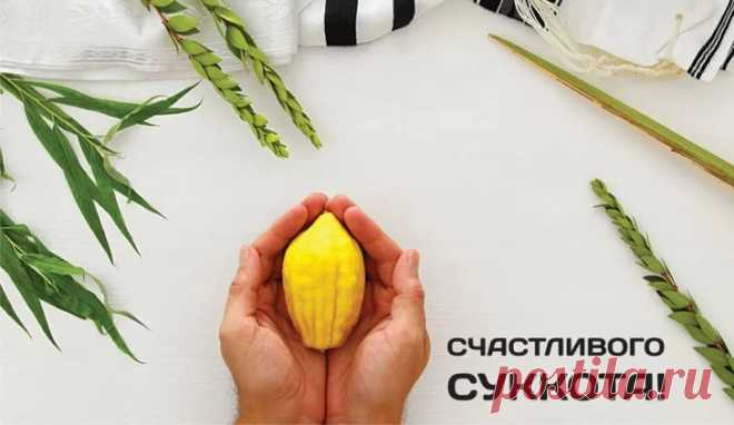 Все евреи каждый год
Дружно празднуют Суккот,
Поселившись в шалаше,
Вспоминают о душе.