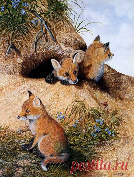 Twinney Dick Nature 035 Sun. Twinney, Дик • описание картины, скачать репродукцию • Gallerix.ru