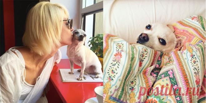 Китайский Новый год: в ночь с 15 на 16 февраля запускаем фейерверки, танцуем с драконами и собакой и навещаем бабушку Скоро мы будем вновь праздновать Новый год, на этот раз по китайскому календарю. Китайский Новый год дату меняет ежегодно - в зависимости от Лунного цикла. 2018 пройдет под покровительством Желтой Земляной Собаки. Праздник начнется в ночь с 15 на 16 февраля и будет длиться 15 дней. Год Желтой Земляной Собаки продлится до 4 февраля 2019-го.…