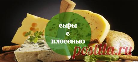 Закваска для приготовления сыра в домашних условиях – купить в Украине по низким ценам.