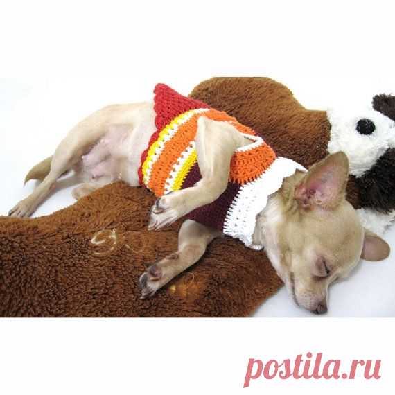 Teacup чихуахуа лучший свитер костюм собаки князь Custom by myknitt