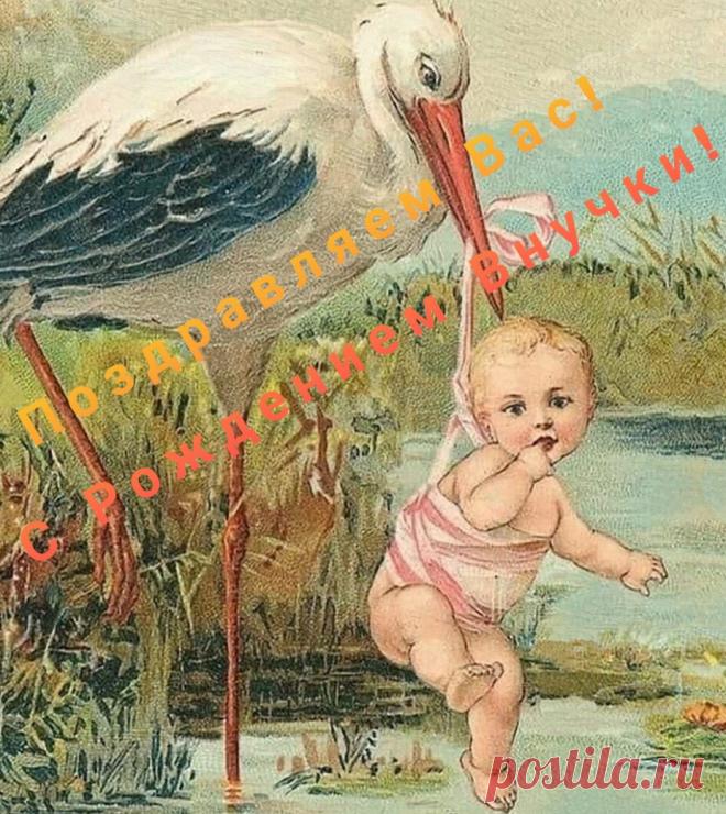 С внучкой новорожденной приветствую тебя!
Вот уже ты бабушка. Чудесно!
Будет пусть счастливою ее судьба,
Пусть растет она красивой и прелестной.