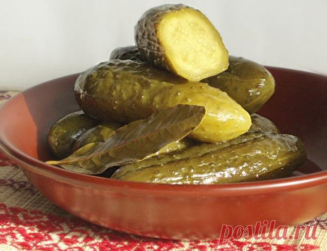 Огурчики "Болгарские"