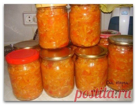 Светлана Миронова | ВКонтакте