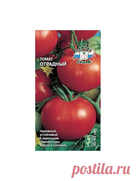 Томат отрадный отзывы Огород без хлопот - информационный сайт для дачников, садоводов и огородников.