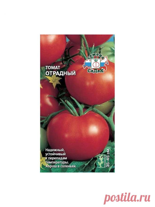 Томат отрадный отзывы Огород без хлопот - информационный сайт для дачников, садоводов и огородников.