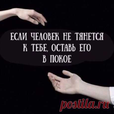 Фитхакер - Публикации