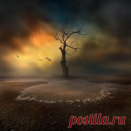 Афоризмы и цитаты 10 часть 2