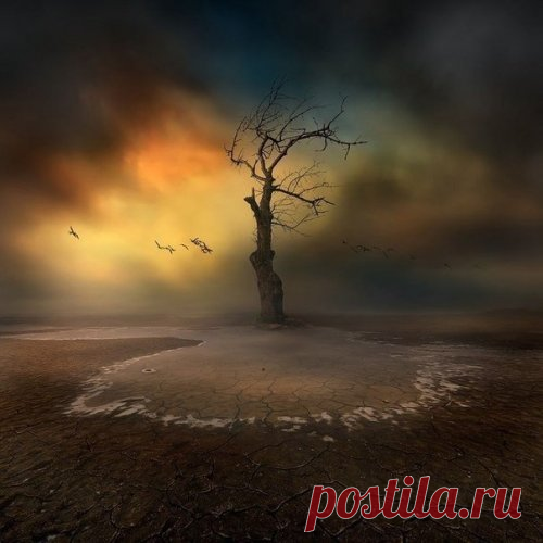 Афоризмы и цитаты 10 часть 2