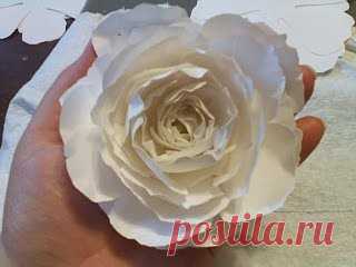 (62) Одноклассники