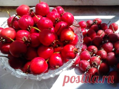 Что приготовить из боярышника 👍 Боярышник прекрасная полезная и вкусная ягода. Все знают, что она полезна для сердца в виде спиртовой настойки.