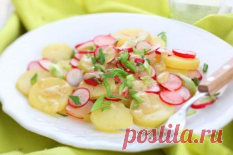 Радуемся первым плодам тепла: овощные салаты с редиской / Простые рецепты