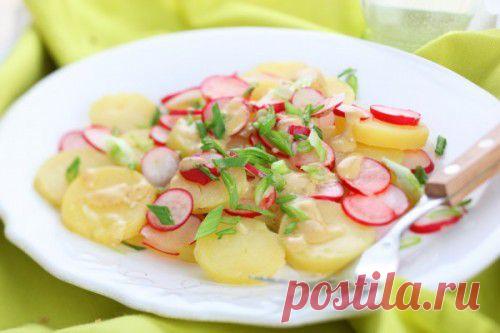 Радуемся первым плодам тепла: овощные салаты с редиской / Простые рецепты