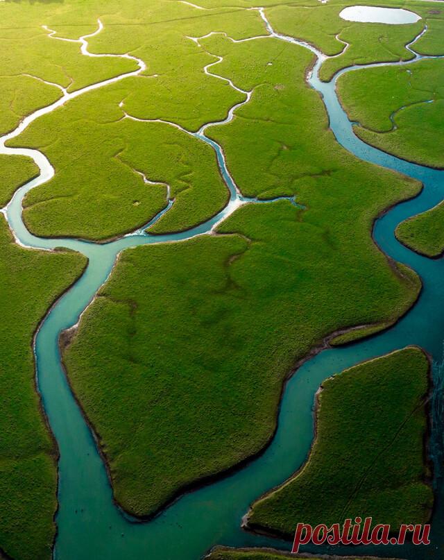 Фотографы со всего мира показали красоту природы