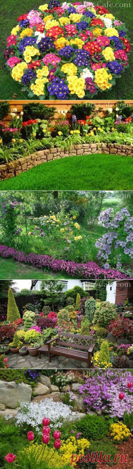Как разбить и оформить красивый цветник перед домом на даче