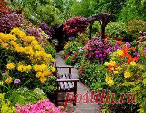 Знаменитые задницы, или «У нее такая…» | ПолонСил.ру - социальная сеть здоровья