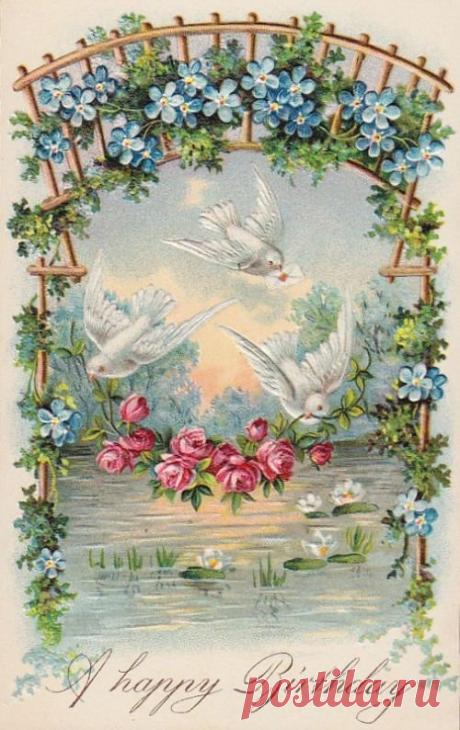 Винтажные открытки. Незабудки