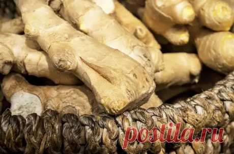5 чудодейственных свойств имбиря, о которых стоит знать - Steak Lovers - медиаплатформа МирТесен