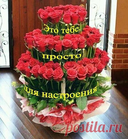 открытка