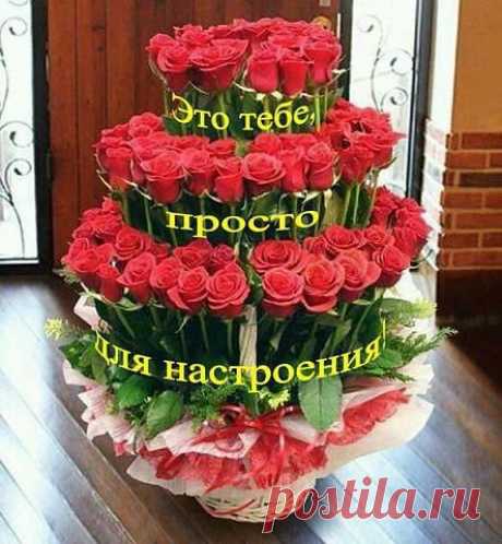 открытка