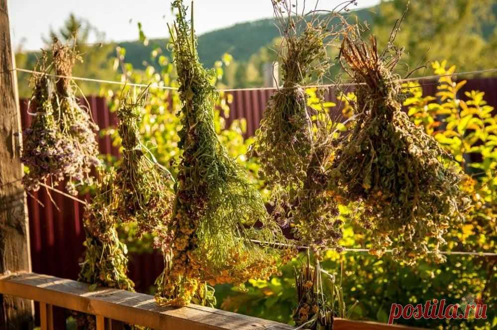 🌿Валериана – нормализует сердечный ритм и давление, а также снимает напряжение и снижает градус раздражительности.
🌿Действие пустырника направлено на снижение восприимчивости к внешним раздражителям.
🌿Лаванда – лидер по борьбе с бессонницей.
🌿Мелисса – лучший помощник в