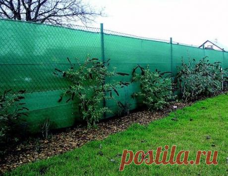 Как за один день сделать бюджетный забор для дачи: инструкция | FORUMHOUSE | Яндекс Дзен